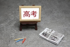 案例展示