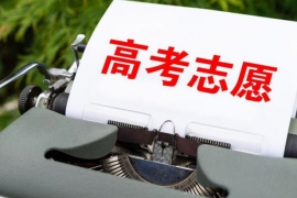 案例展示
